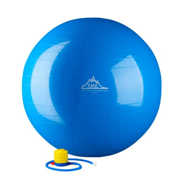 2000lbs Static Strength Exercise Stability Ball 65cm with Pump Blue NEW